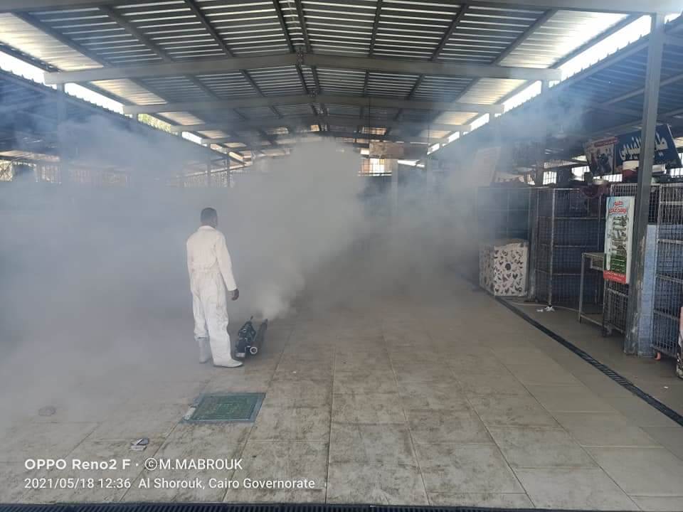 WhatsApp_Image_2021-05-20_at_9_33_00_AM_(1)