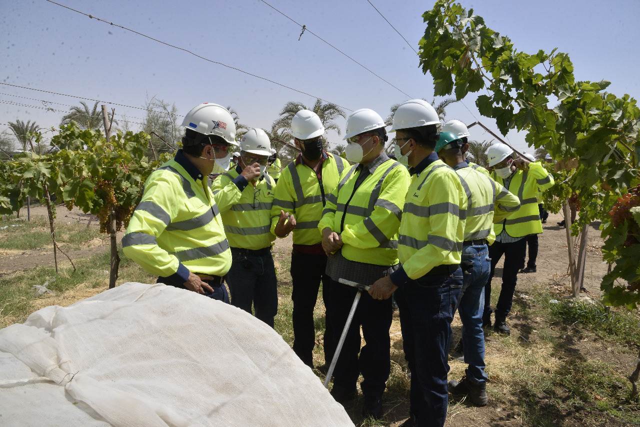 محافظ_أسيوط_ورئيس_سيمكس_يتفقدان_مزرعة_الشركة_والمدينة_الرياضية_(1)