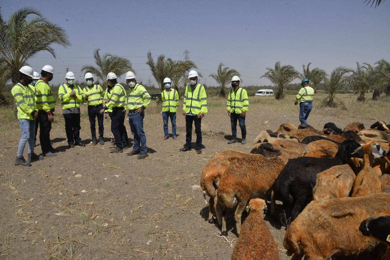 محافظ_أسيوط_ورئيس_سيمكس_يتفقدان_مزرعة_الشركة_والمدينة_الرياضية_(9)