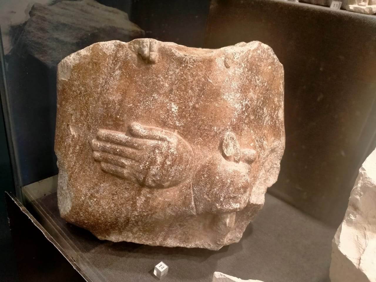 266629585_293260456177715_3822769093807715493_n