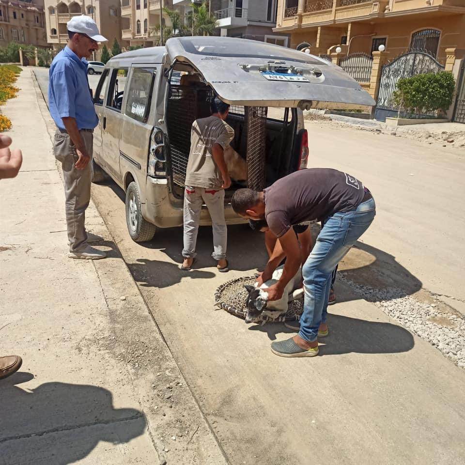 650A0CDA-954E-45BA-AF82-EA85B88AC262 650A0CDA-954E-45BA-AF82-EA85B88AC262