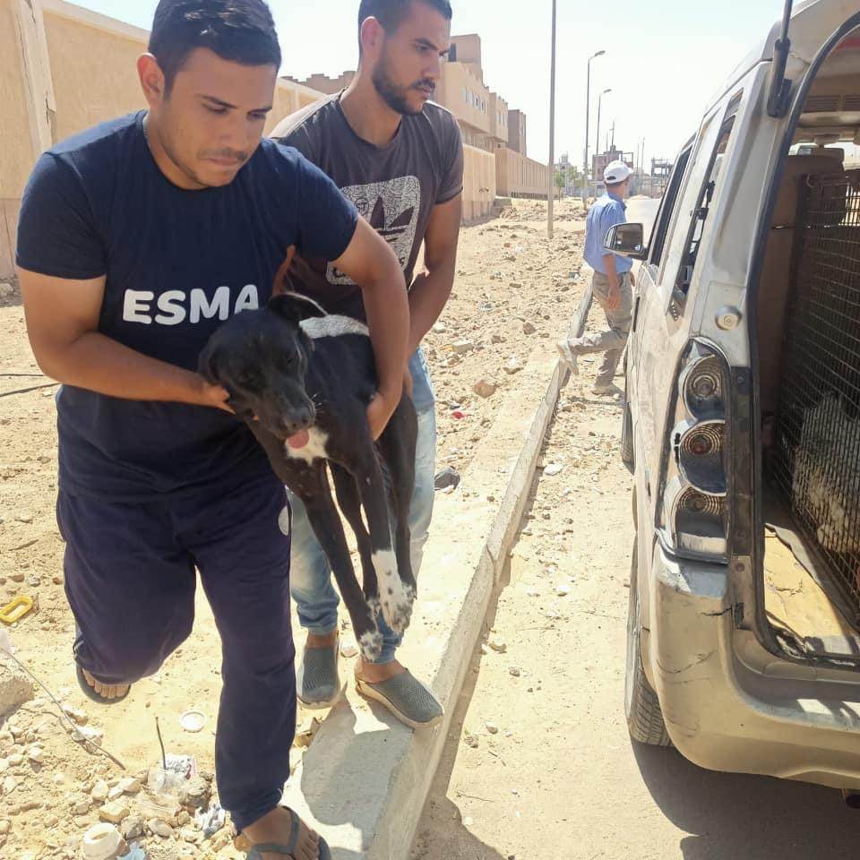 B21AC4ED-7886-405F-81DE-0F9138191A29 B21AC4ED-7886-405F-81DE-0F9138191A29