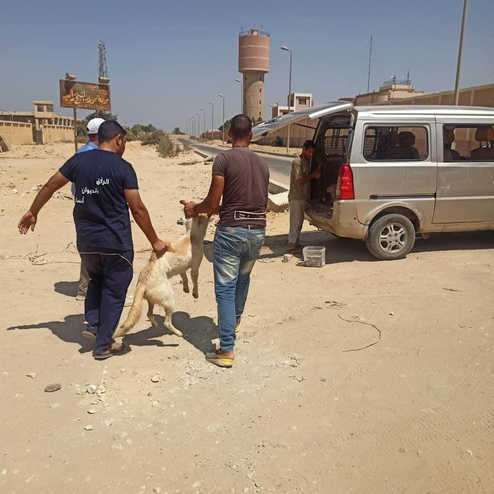 C384C21C-105A-465A-A624-A8C27914FD4D C384C21C-105A-465A-A624-A8C27914FD4D