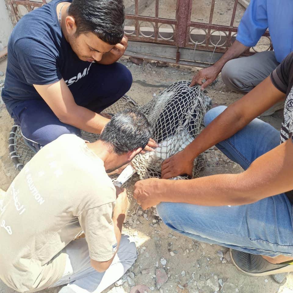 D8863186-08CA-4304-B03D-BC7D06CE3C10 D8863186-08CA-4304-B03D-BC7D06CE3C10