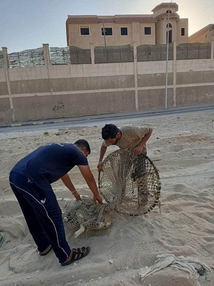 E3193DF5-980E-43B8-9FD2-DD9FC956242B E3193DF5-980E-43B8-9FD2-DD9FC956242B