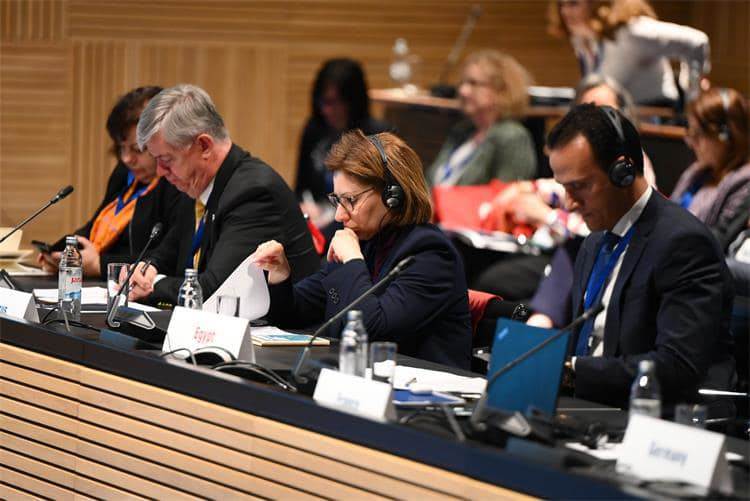 342595562_146535658258676_8483236999191195114_n