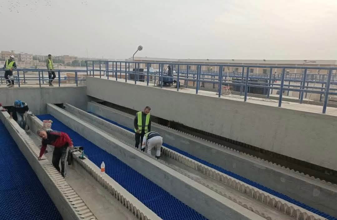 1000270493 1000270493