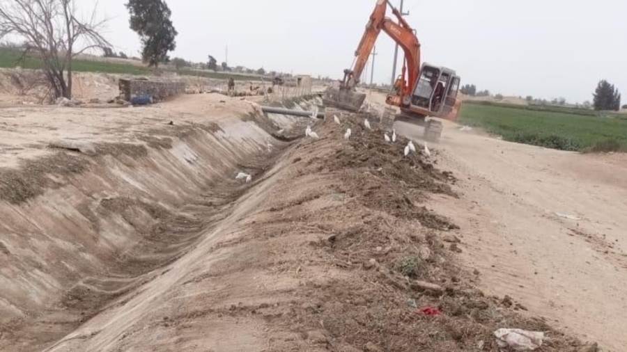 الزراعة: إزالة 50 حالة تعدي وتطهير 47 مسقى ومصرف 