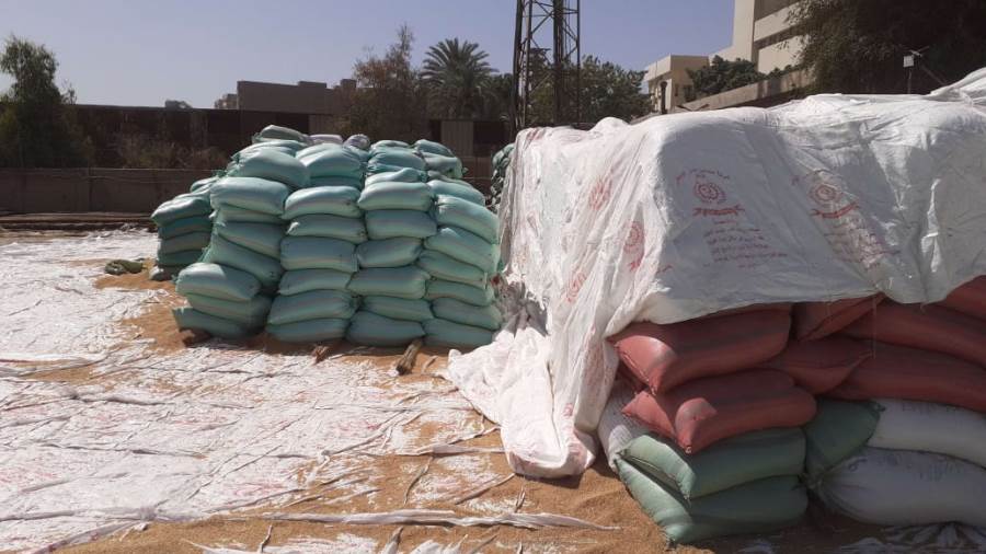 محافظ أسيوط: توريد 3560 طن قمح محلي للصوامع والشون حتى الآن