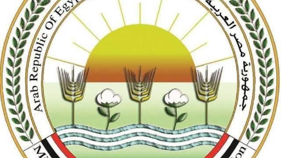 وزارة الزراعة: 497 مجزرا حكوميا جاهزا لاستقبال الأضاحي من المواطنين بالمجان 