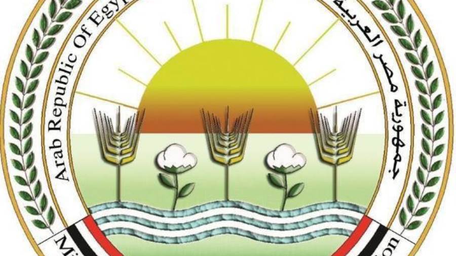 د.حامد الأقنص: إنتاج 3700 طن من منتجات التدوير من المجازر المعتمدة بالمحافظات