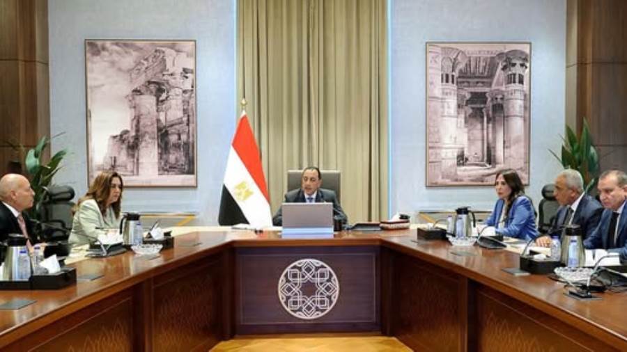 الحكومة تبدأ بخطة تشجير الطريق الدائري والمحاور والطرق الرئيسية 