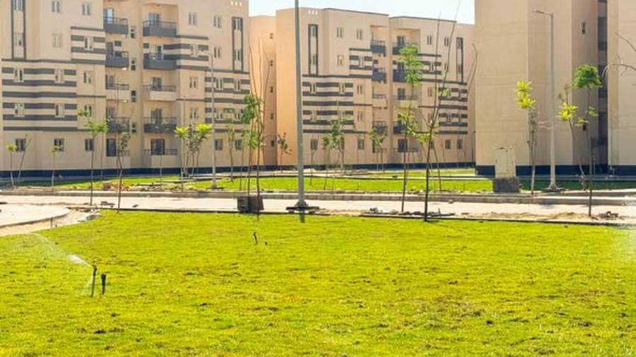 «الإسكان»: بدء زراعة 7 آلاف شجرة متنوعة بالسادات الجديدة