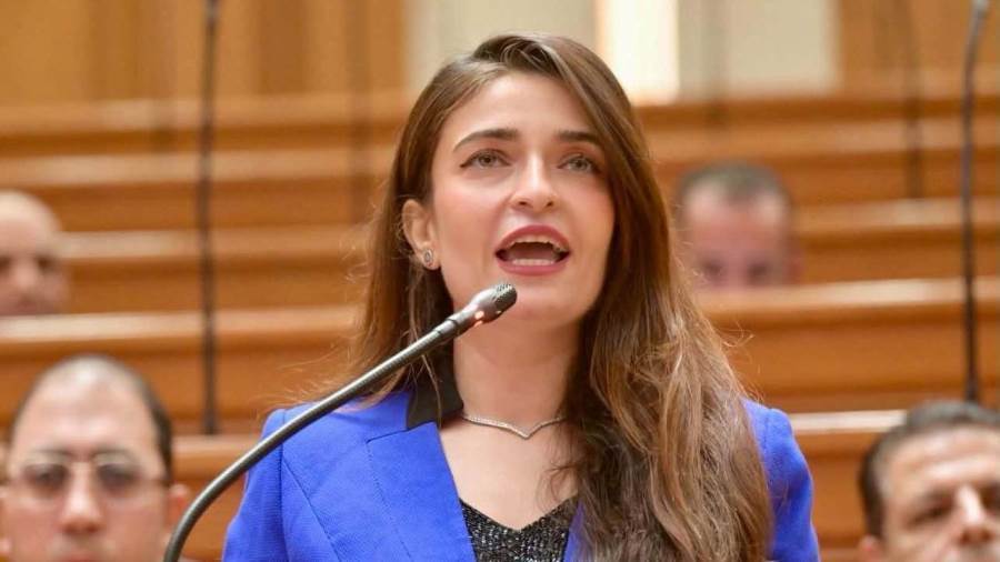 النائبة إيرين سعيد تطالب بالكشف عن تمويل خطة مواجهة الكلاب الضالة