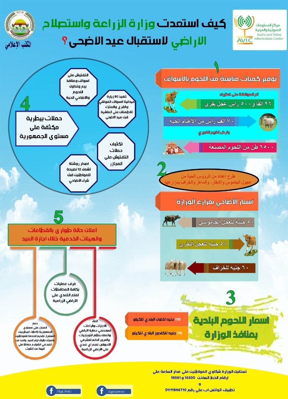 إنفوجراف يلخص استعدادات وزارة الزراعة لاستقبال عيد الأضحى المبارك 