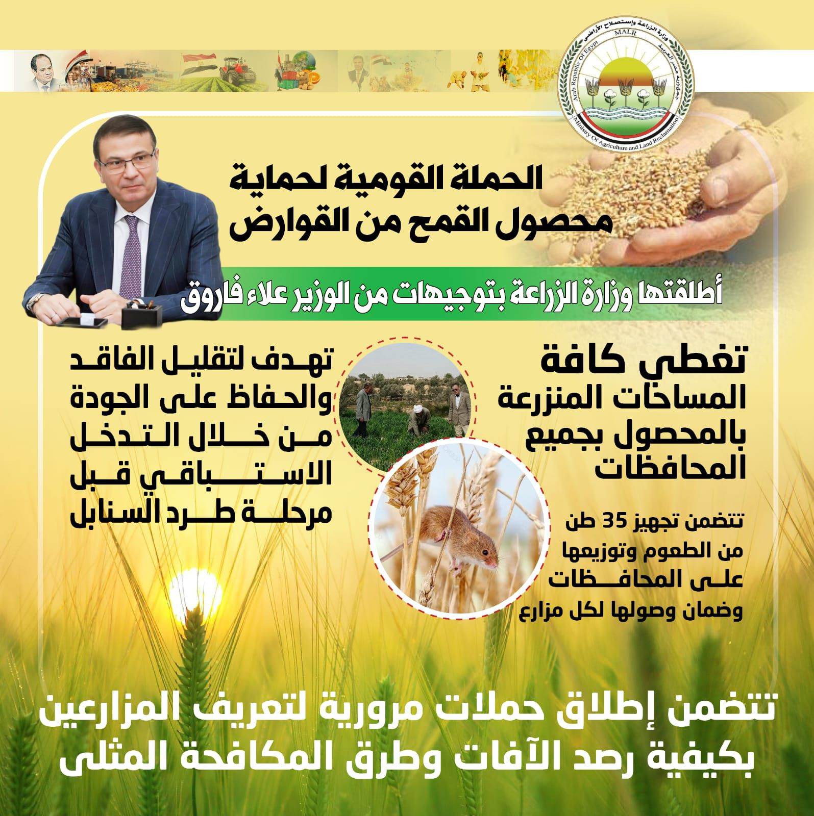 الحملة القومية لحماية القمح من القوارض