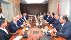 مصر تستثمر 200 مليار جنيه في صناعة الدواجن لإنتاج 1.6 مليار دجاجة