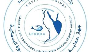 جهاز تنمية البحيرات: تنفيذ مرحلة جديدة من خطة تنمية بحيرة وادي الريان بزريعة الطوبارة