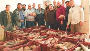 صيد 32 طن أسماك من مزرعة برسيق بالبحيرة