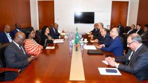 وزير الخارجية: البنوك الأفريقية تقوم بدور محوري في تعزيز التجارة بين الدول الأفريقية