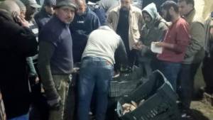 «الثروة السمكية»:إنتاج 12 طنًا من الأسماك بمحطة تحضين الخاشعة ومفرخ المنزلة 