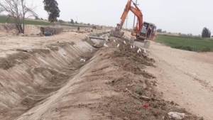 الزراعة: إزالة 50 حالة تعدي وتطهير 47 مسقى ومصرف 