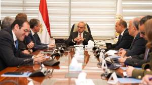 الاستثمار تبحث مع «دراسكيم» موقف أول منطقة حرة خاصة لإنتاج سيانيد الصوديوم