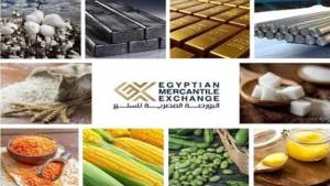 إدراج القطن بالبورصة السلعية..ومزاد جديد للذهب في أبريل