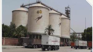 40 مليون جنيه هدف ربحي لـ"مطاحن الإسكندرية" في الموازنة الجديدة