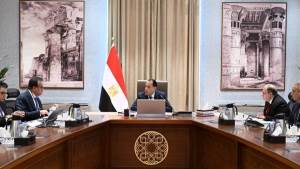 رئيس الوزراء يتابع موقف توافر المستحضرات الدوائية والخامات الفعالة بالسوق المصرية للدواء