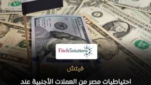 فيتش: احتياطيات مصر القوية تحميها من ضغوط ارتفاع أسعار النفط