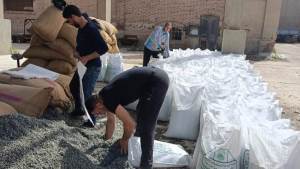 "الزراعة": تجهيز 15 ألف شيكارة قطن من تقاوي المزارع المعاونة