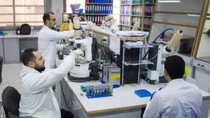 الزراعة: تحليل 111 ألف عينة غذائية خلال الربع الأول من 2026