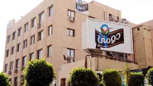 161.3 مليون جنيه أرباح شركة دومتي خلال 2025