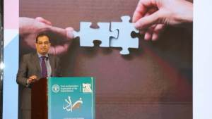 «مصر الخير» و«الفاو» و80 مؤسسة أهلية يناقشون مستقبل الأمن الغذائي