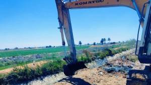 الزراعة تعلن تطهير 53 مسقًى ومصرفًا بمراقبات قطاع الاستصلاح