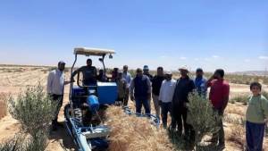 الزارعة: تخصيص 5 ملايين جنيه لتمكين المرأة البدوية بشمال سيناء