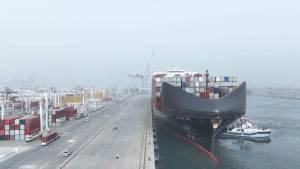 موانئ البحر الأحمر: تصدير 29 ألف طن فوسفات للهند عبر ميناء سفاجا