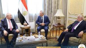 تنسيق حكومي مع مجلس الدولة بشأن مشروعات القوانين 
