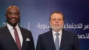 "أفريكسيم بنك": 9.5 مليار دولار حجم تمويلات البنك لمصر في ٣ سنوات