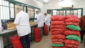 «الزراعة»: فحص وتصدير970 ألف طن بطاطس 