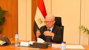نائب رئيس مجلس الوزراء يعتمد توزيع 1.061 مليار جنيه للخزانة العامة