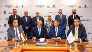 تعاون بين اتحاد منتجي الحاصلات البستانية والتنمية الزراعية لتسويق تقاوي البطاطس