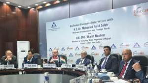 خطة مصرية لجذب الاستثمارات الهندية للسوق المصري