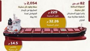 تعرف على مواصفات سفينتي الصب الجاف "وادي النيل" و"وادي القمر"