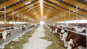 «الزراعة» تصدر907 تراخيص جديدة للبتلو وتوافق على 777 تسجيلة أعلاف