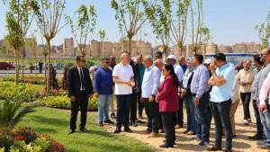تعرف على خطة محافظة القاهرة لتشجير الميادين