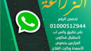 أول مرة.. "الزراعة" تُخصص رقم واتساب ل لتلقي شكاوى الأسمدة المدعمة