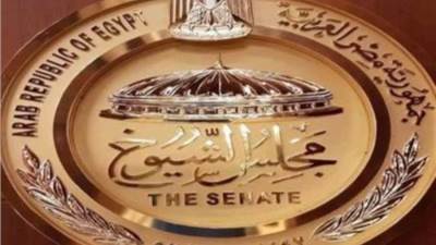 تعليم الشيوخ : تطوير التعليم الفني  أهم أولويات الحكومة والقيادة السياسية