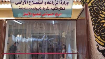 البنك الزراعي يمول مراكز تجميع الألبان بـ١٤٤ مليون جنيه